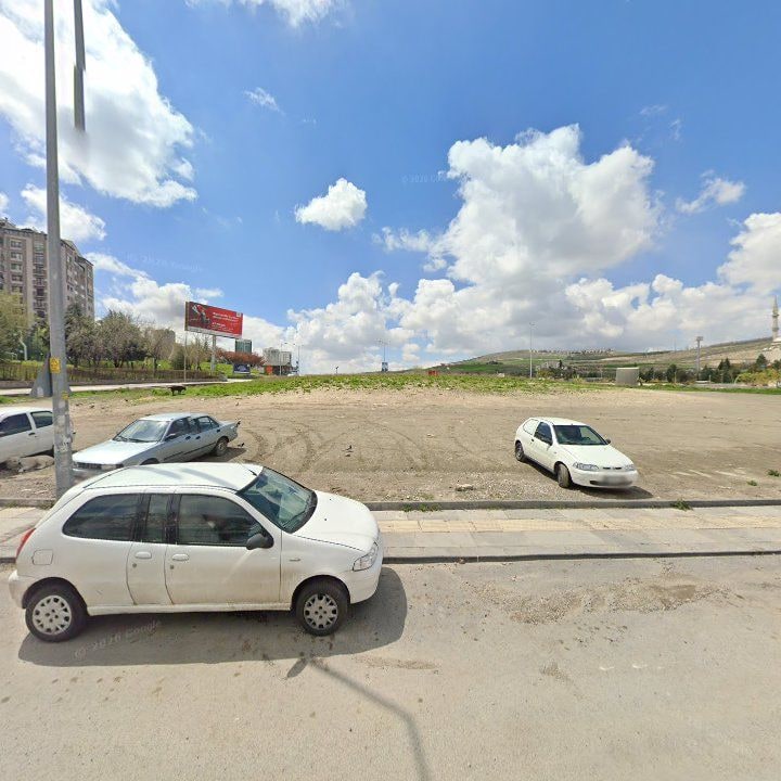 Fotoğraf 12