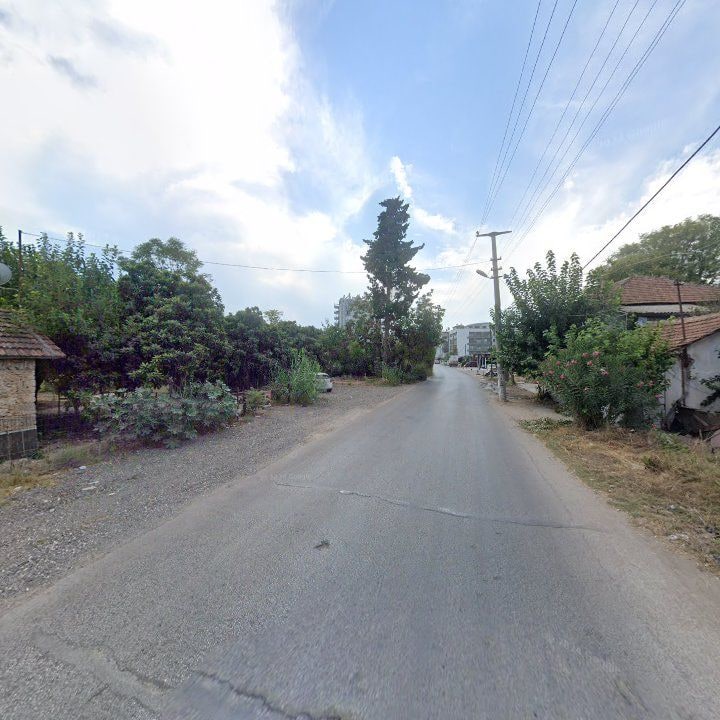 Fotoğraf 10
