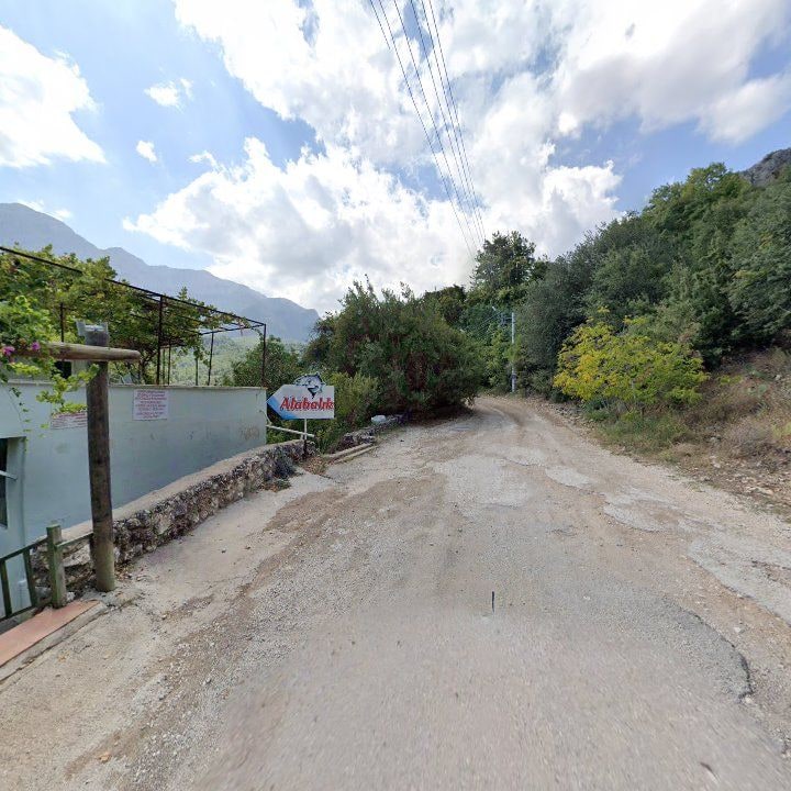 Fotoğraf 8