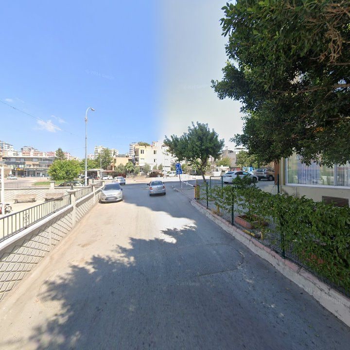 Fotoğraf 8