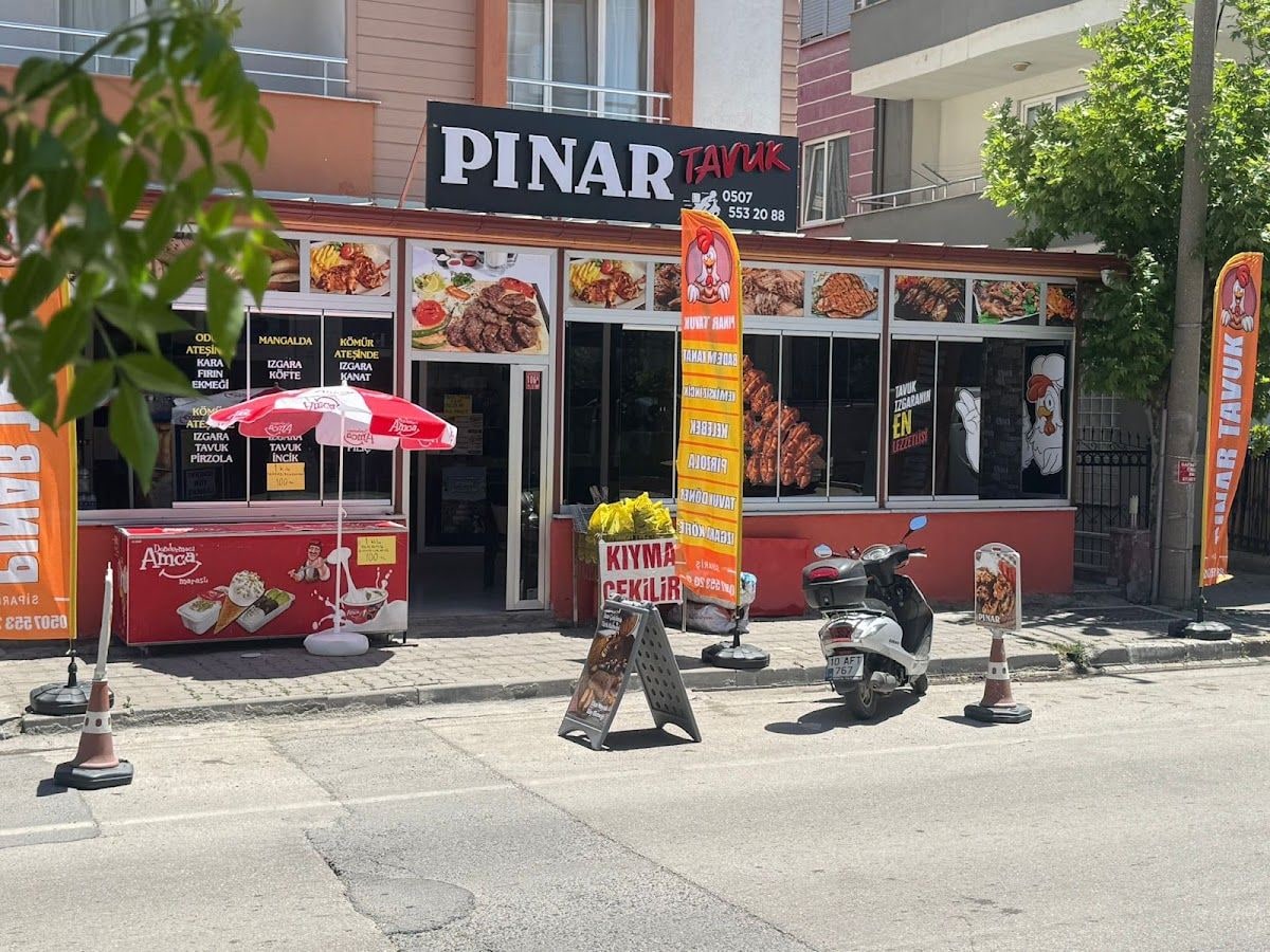 PINAR TAVUK