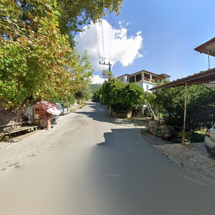 Fotoğraf 11