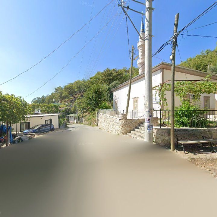 Fotoğraf 9