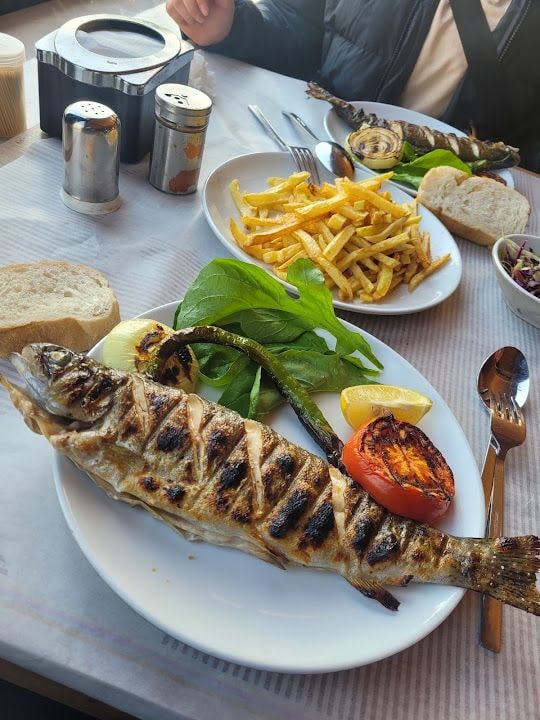 Fotoğraf 7