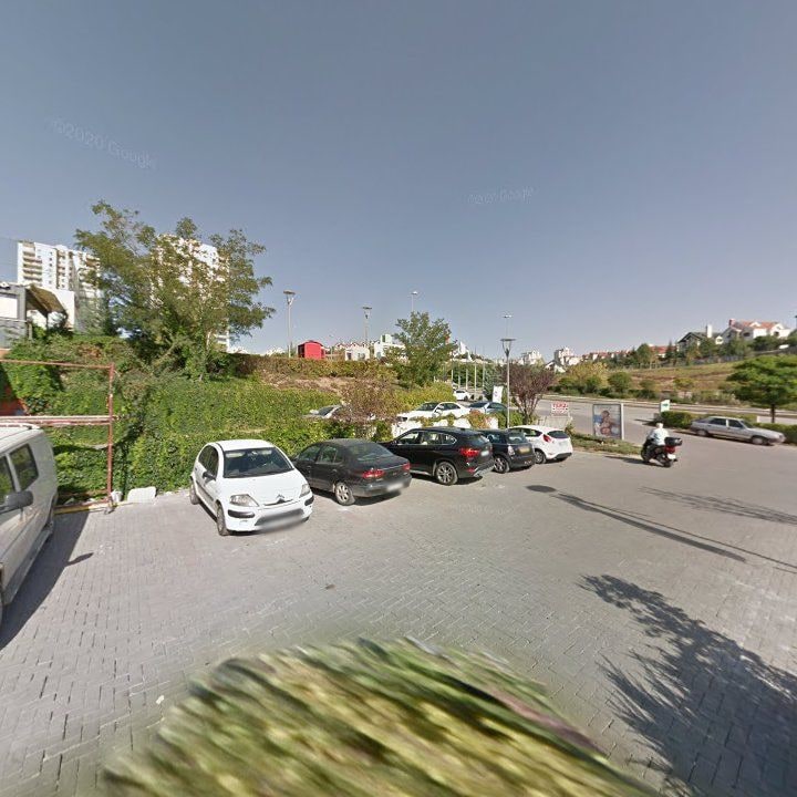 Fotoğraf 12