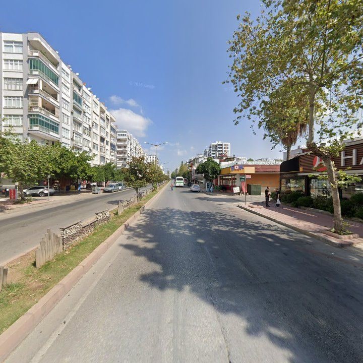 Fotoğraf 6