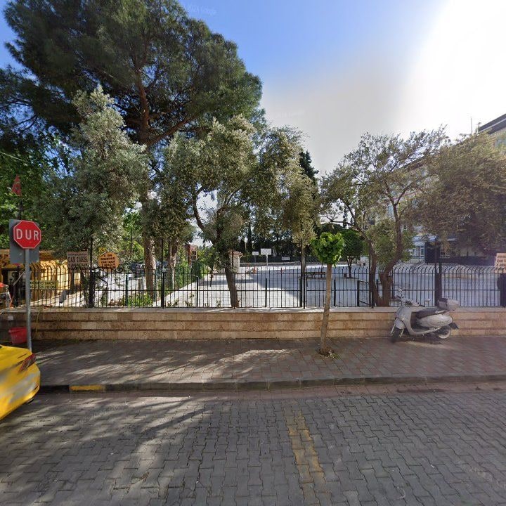 Fotoğraf 9