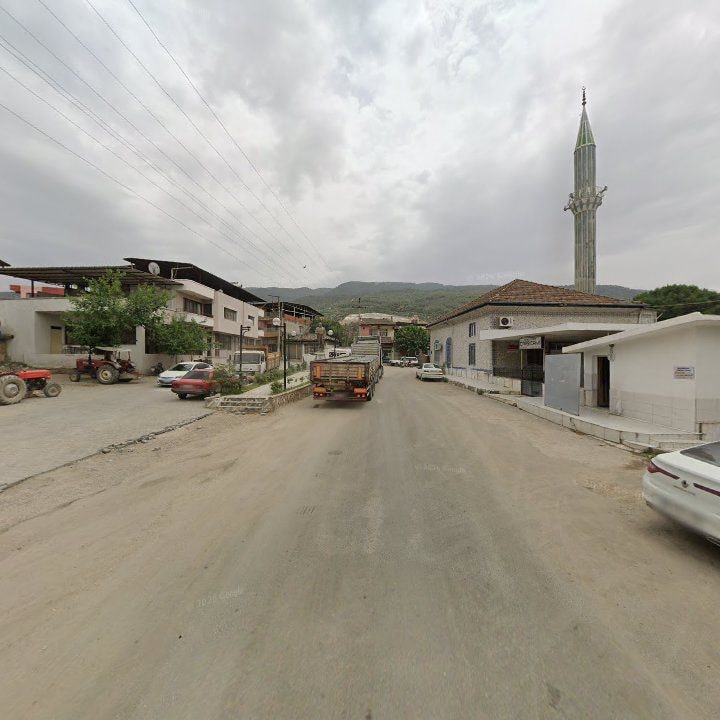 Fotoğraf 8