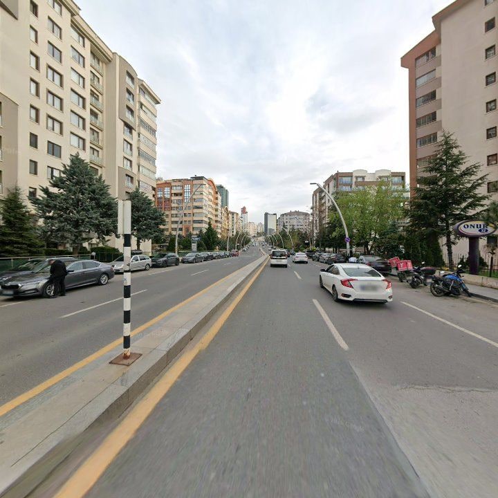 Fotoğraf 12