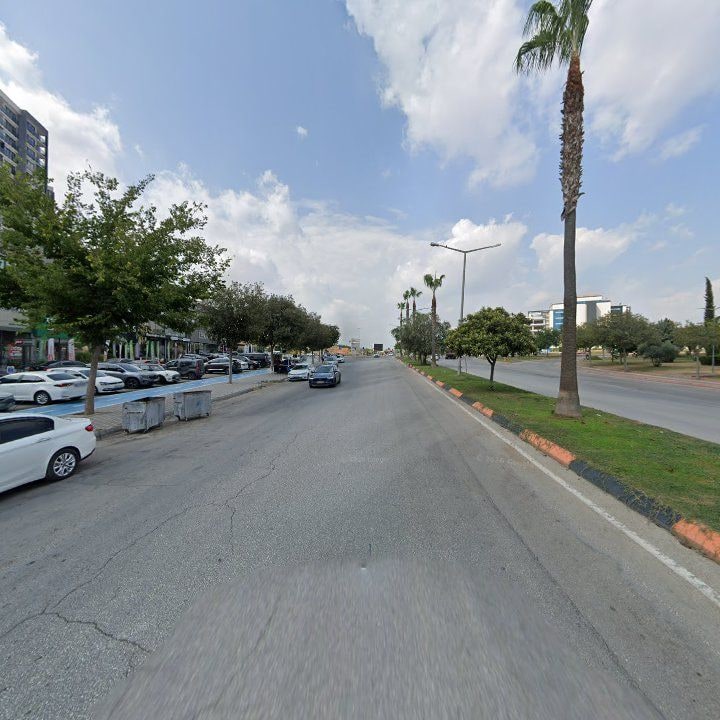 Fotoğraf 10