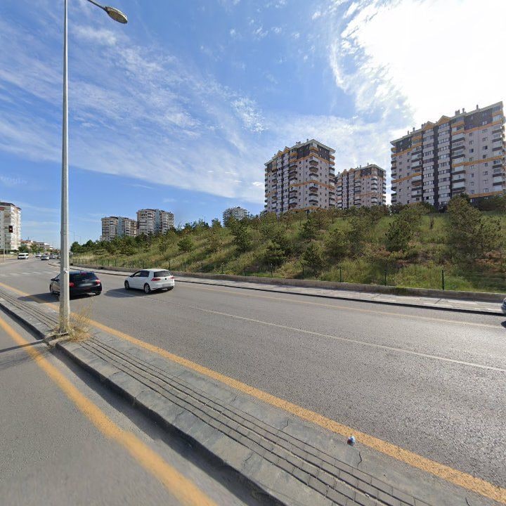 Fotoğraf 13