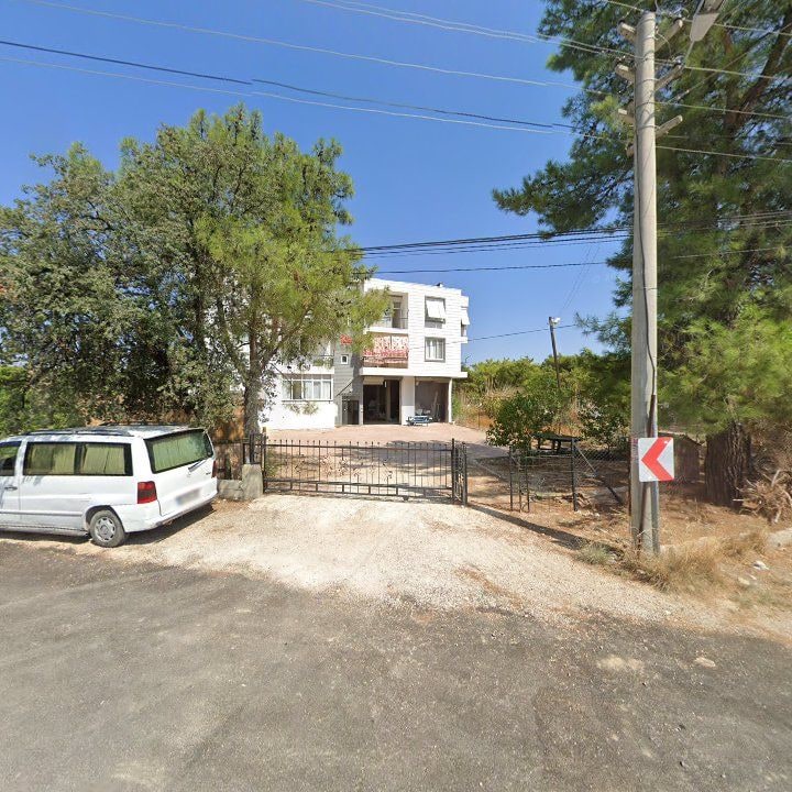 Fotoğraf 7