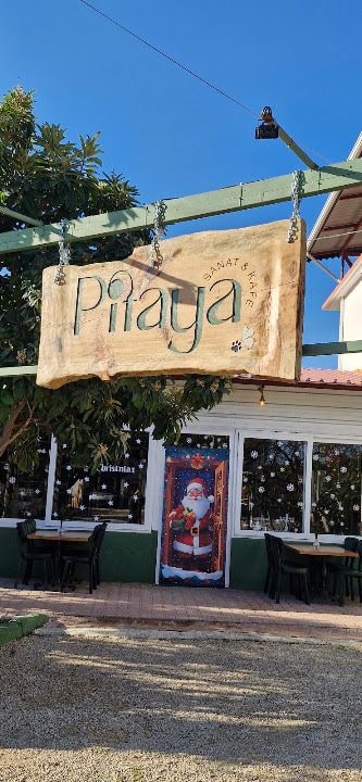 Pitaya Sanat & Kafe