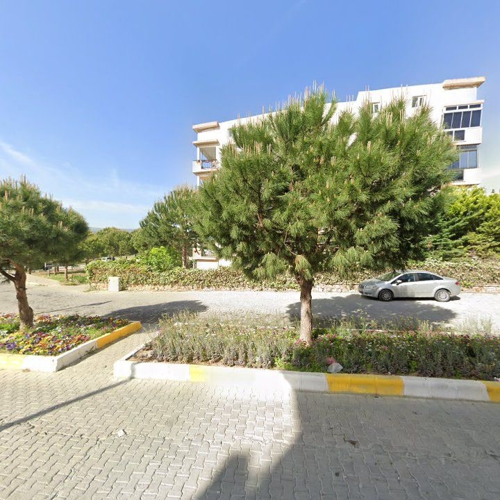 Fotoğraf 7