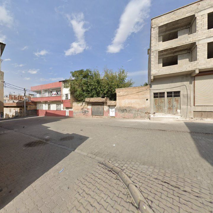 Fotoğraf 12