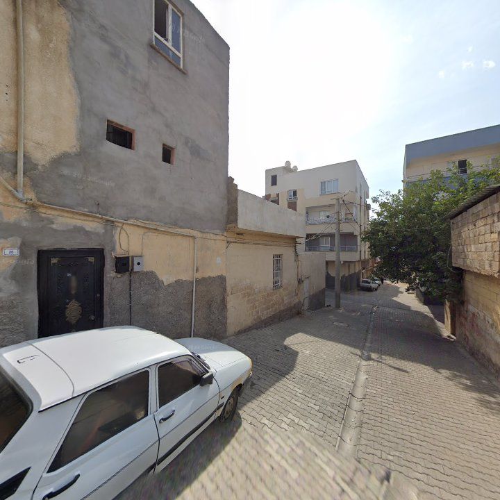 Fotoğraf 10