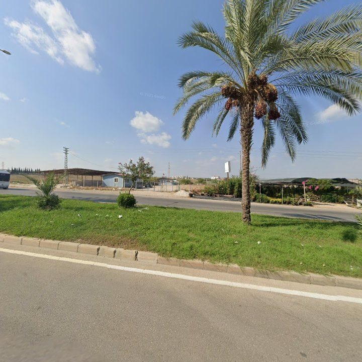 Fotoğraf 7