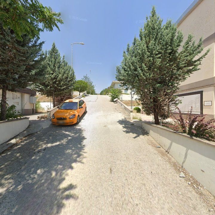 Fotoğraf 10