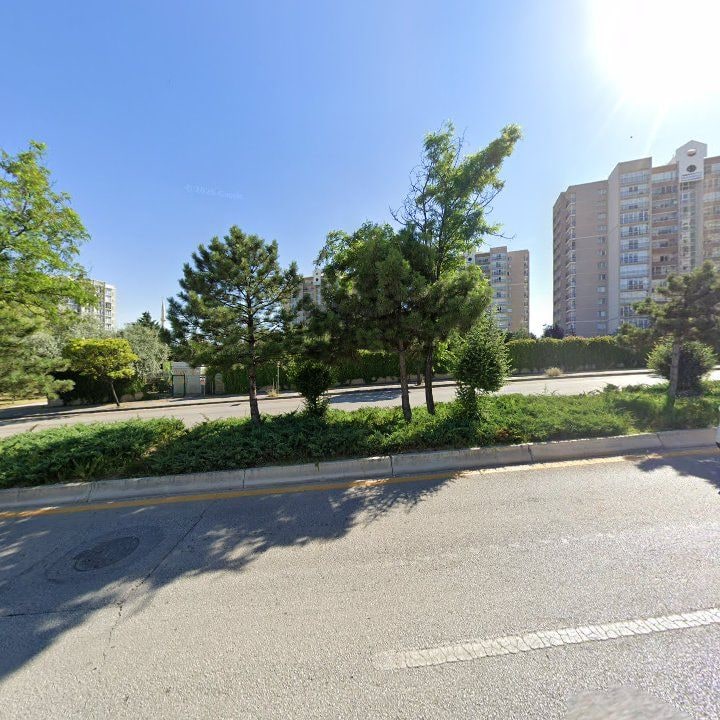 Fotoğraf 11