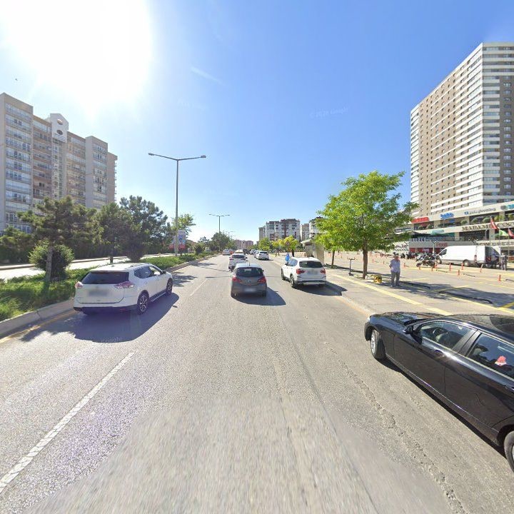 Fotoğraf 12