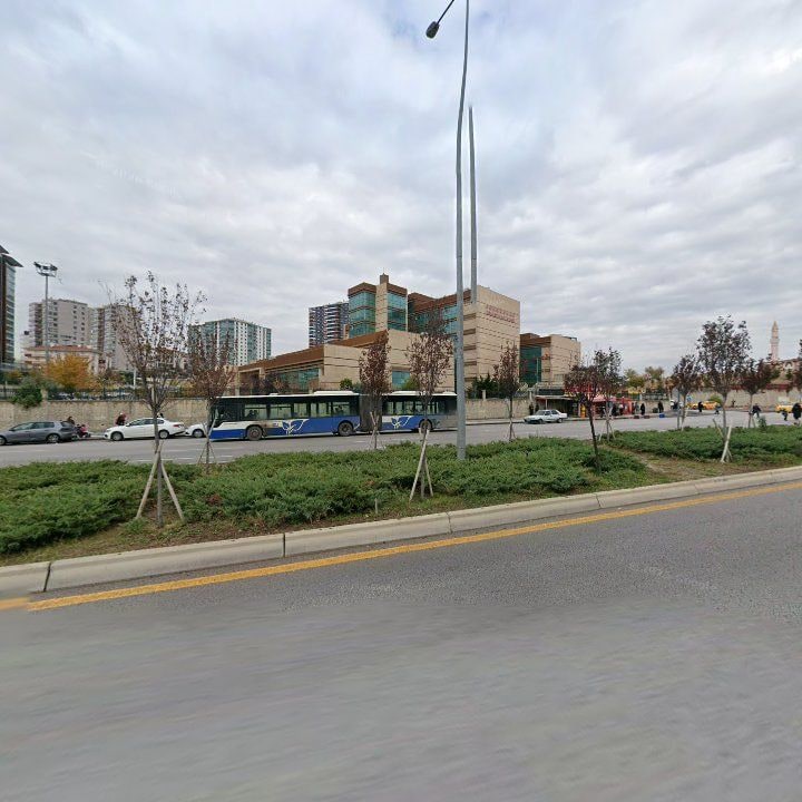 Fotoğraf 10