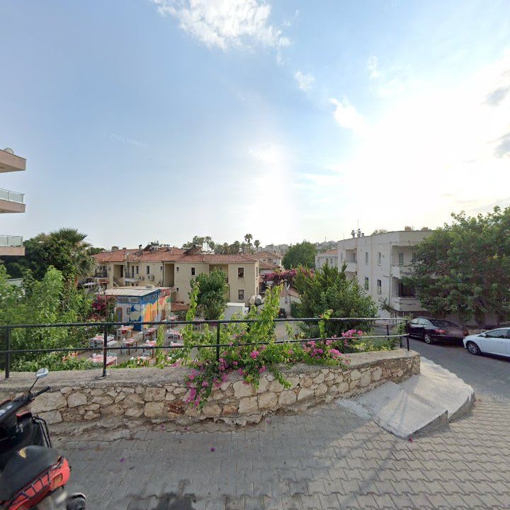 Fotoğraf 9