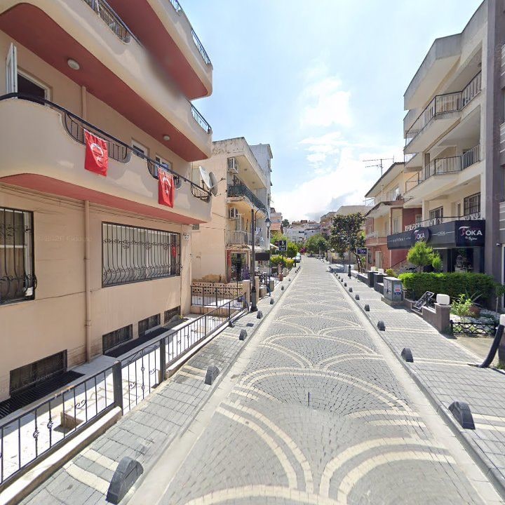 Fotoğraf 11