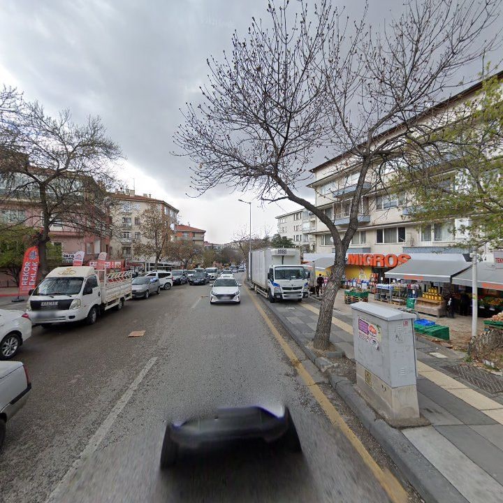 Fotoğraf 9