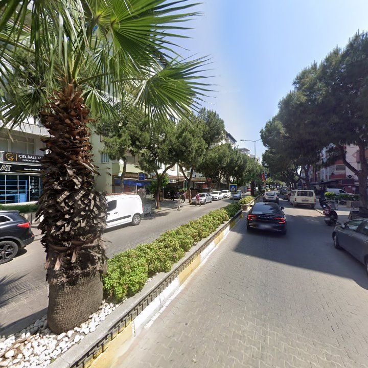 Fotoğraf 11