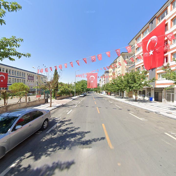 Fotoğraf 7