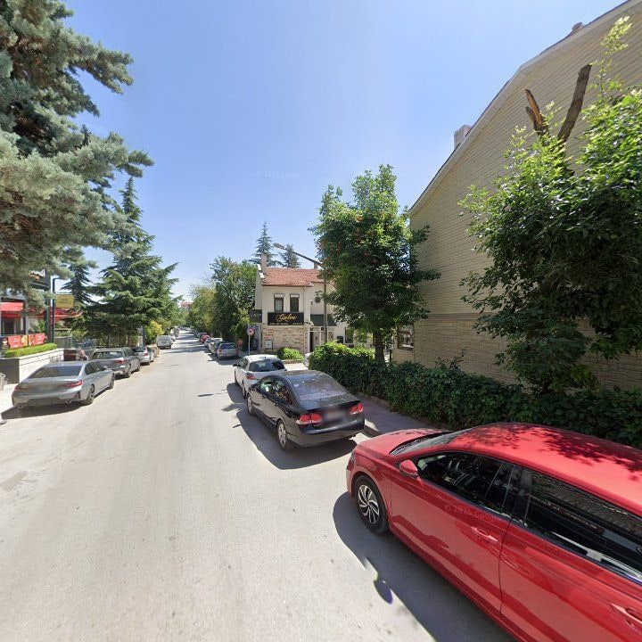 Fotoğraf 10