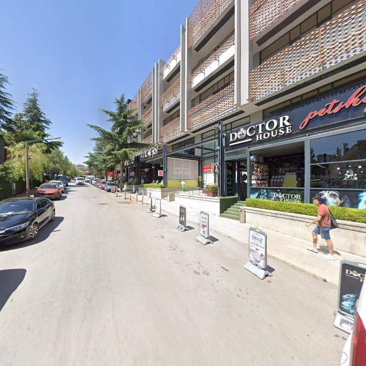 Fotoğraf 12