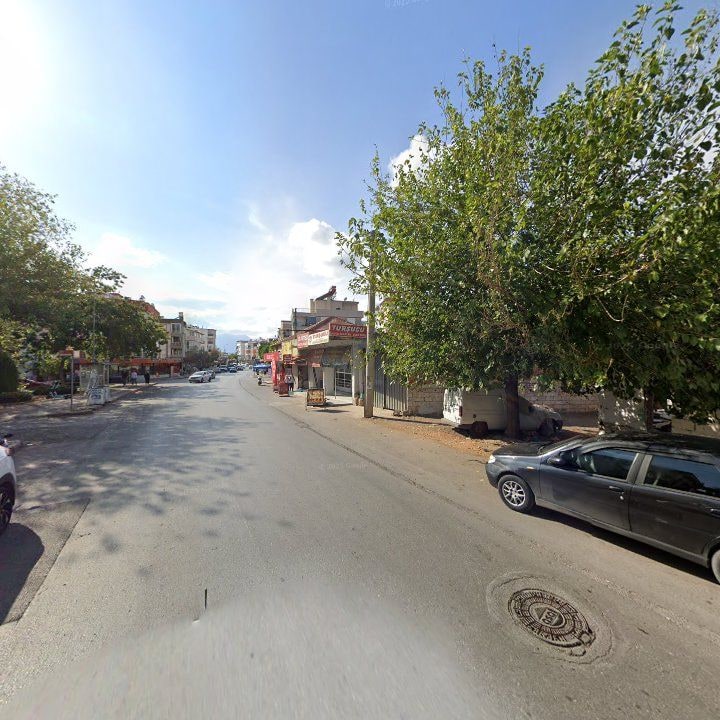 Fotoğraf 9