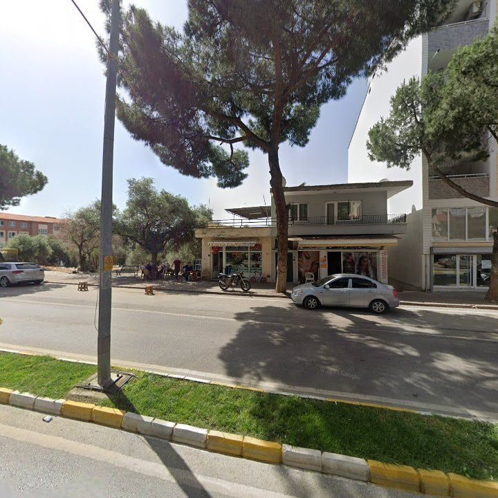 Fotoğraf 7