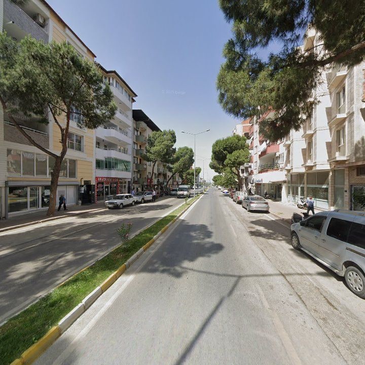 Fotoğraf 8