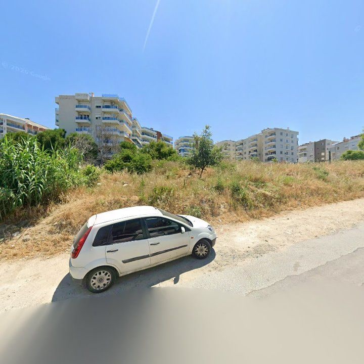 Fotoğraf 12