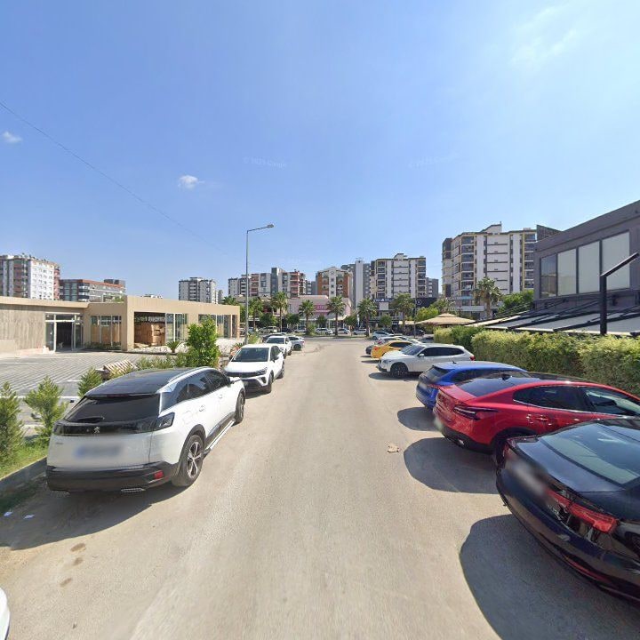 Fotoğraf 11