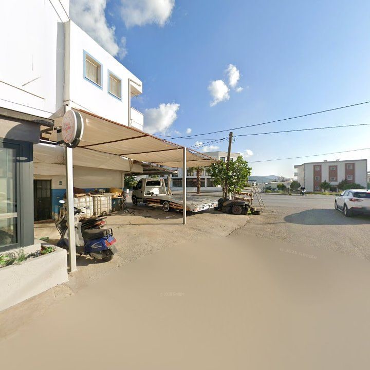 Fotoğraf 9