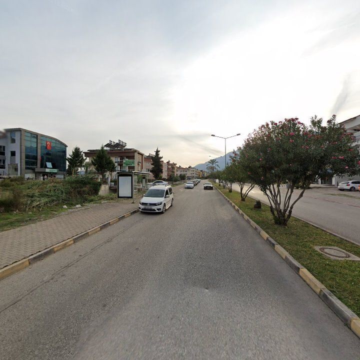 Fotoğraf 7