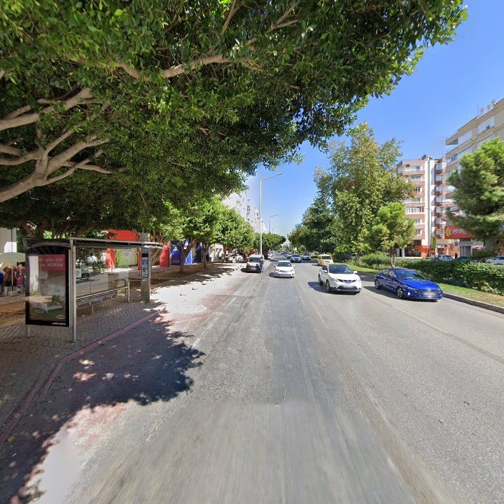 Fotoğraf 9
