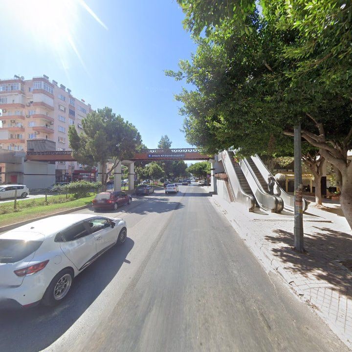 Fotoğraf 11
