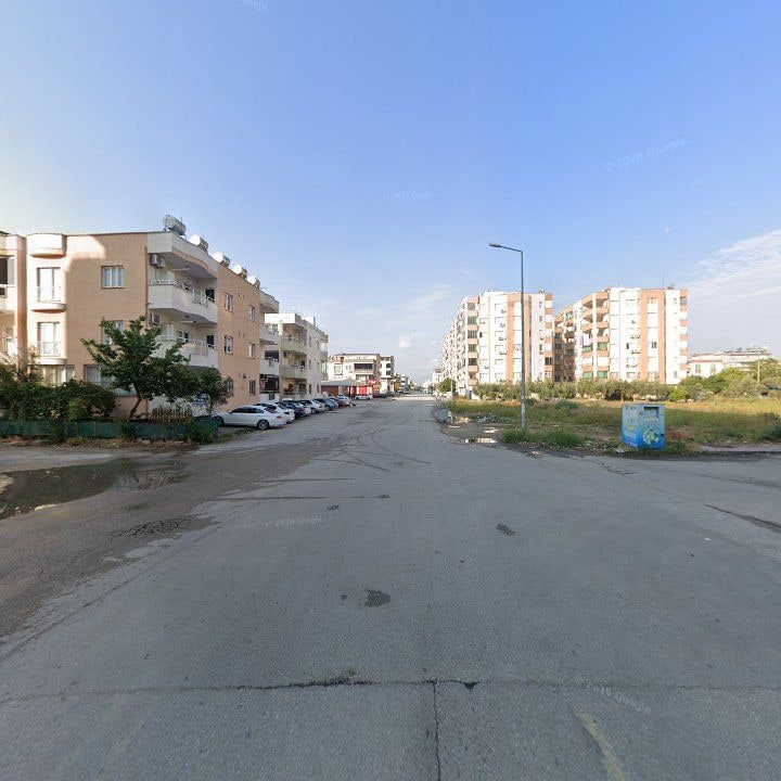 Fotoğraf 8