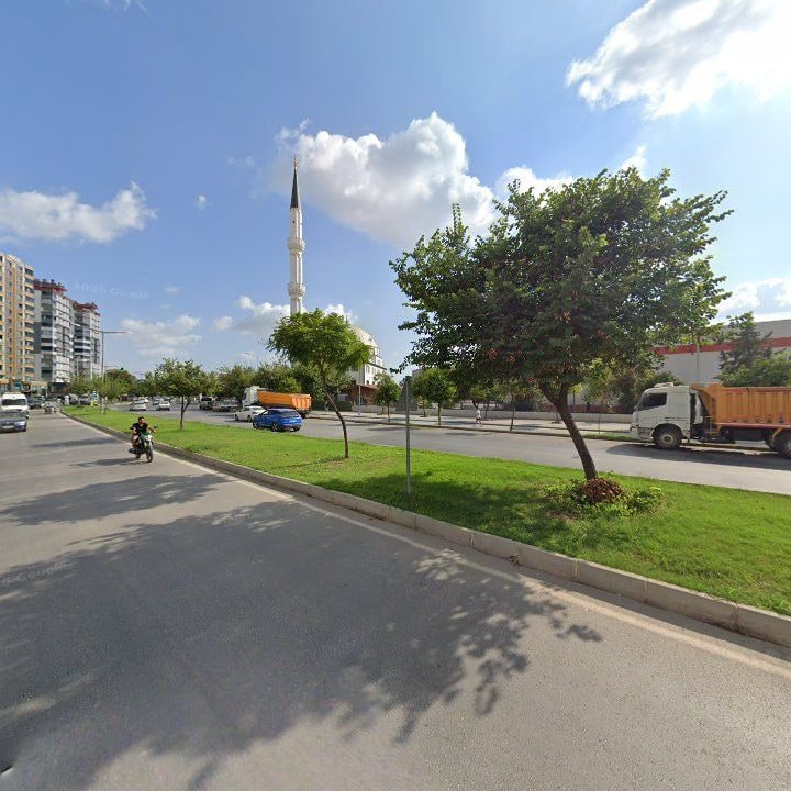 Fotoğraf 9