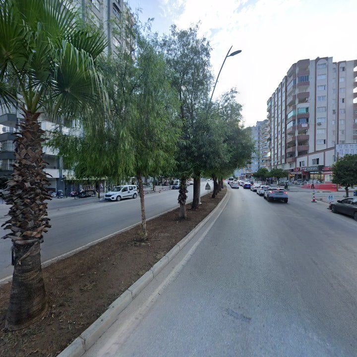 Fotoğraf 11