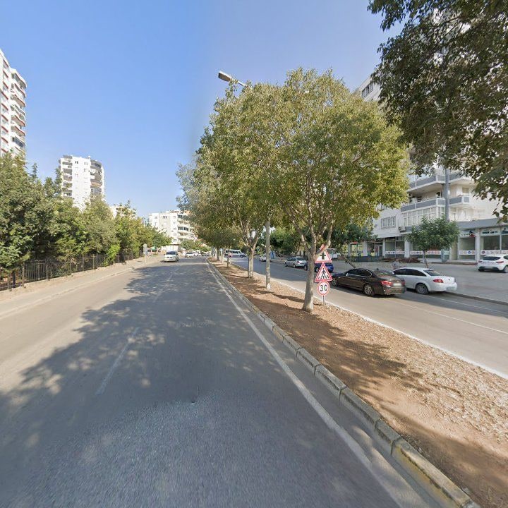 Fotoğraf 13