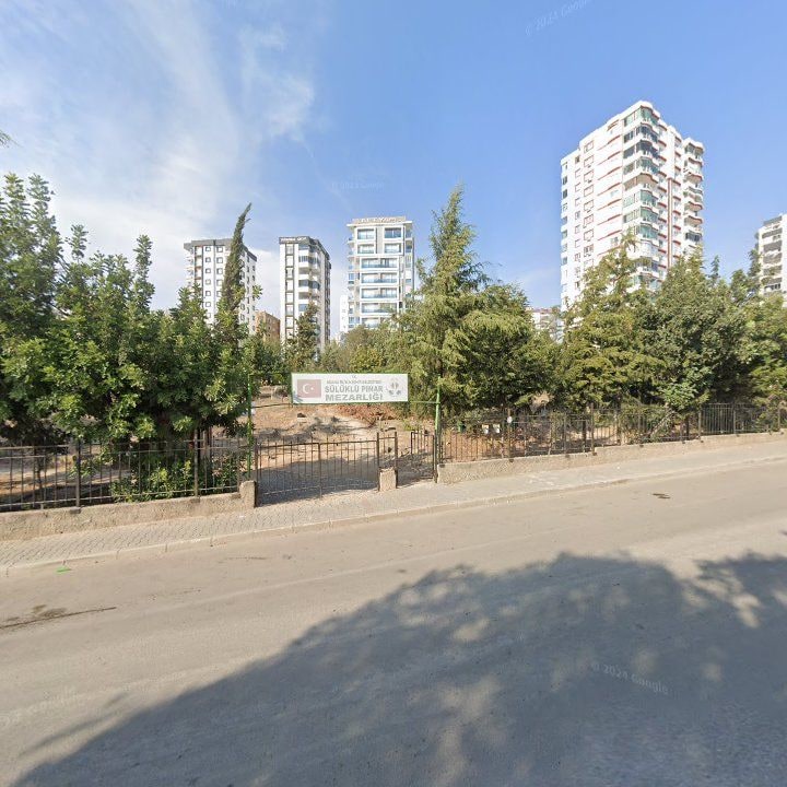 Fotoğraf 12