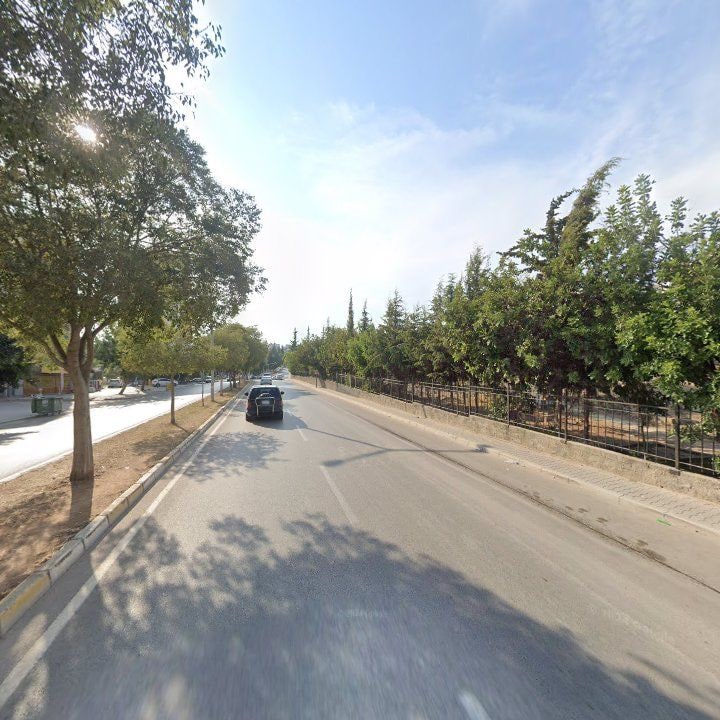 Fotoğraf 11