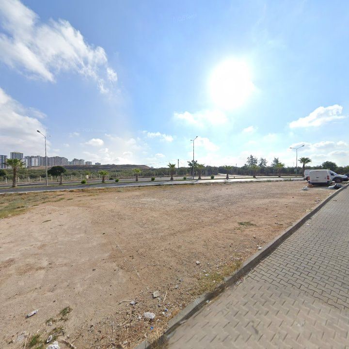 Fotoğraf 10