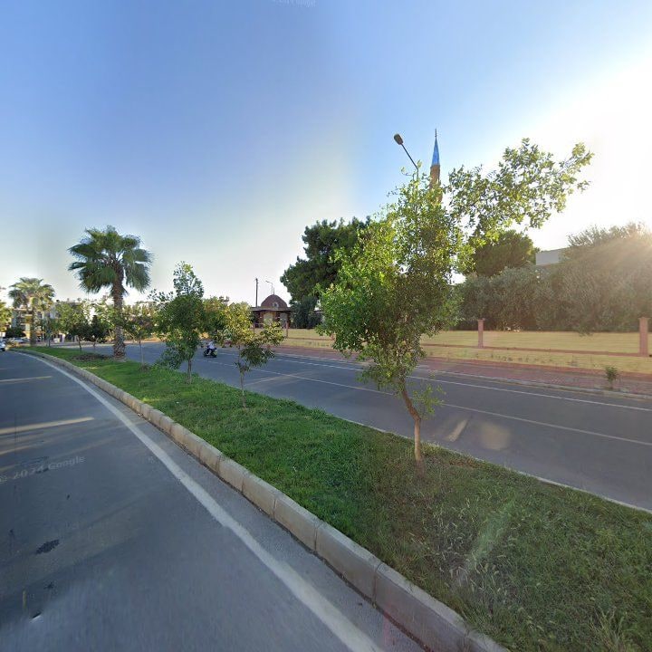 Fotoğraf 9
