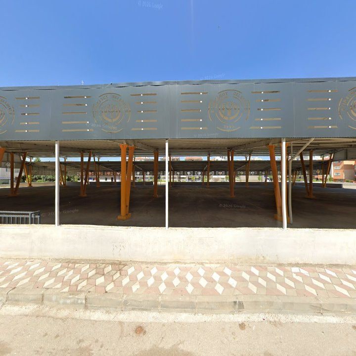Fotoğraf 7